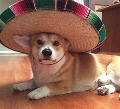 Image result for Have a Hat Meme