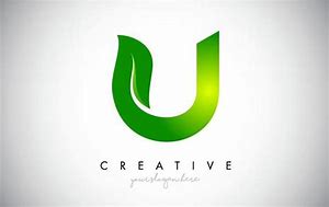 Image result for U a Logo Leaf