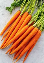 Image result for The Carrot Carp