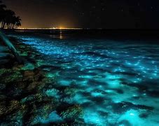 Image result for Puerto Rico Secluded Beaches