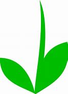 Image result for Green Stem Clip Art