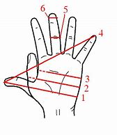 Image result for Hand Scale