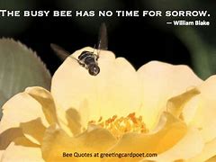 Image result for Bee Quotes and Sayings