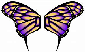 Image result for butterfly wings patterns