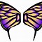 Image result for butterfly wings patterns