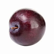 Image result for Elephant Heart Plum