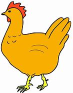 Image result for Chicken Drawing Jpg