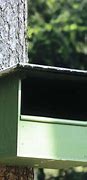 Image result for Kestrel Nest Box