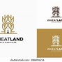 Image result for Ajab Flour Logo