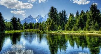 Image result for Peaceful Home Background