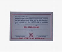 Image result for American Red Cross Lifeguard Certification Badges