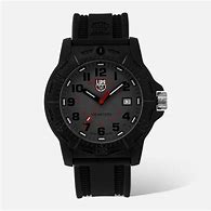 Image result for Luminox Blackbird Band