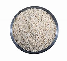 Image result for Urad PNG