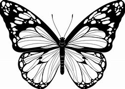 Image result for Red and Black Butterfly Drawings