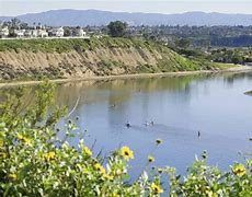 Image result for Upper Newport Bay Nature Preserve