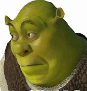 Image result for Meme Shrek Manifestando