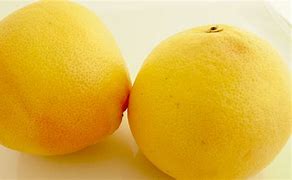 Image result for Citrust Triangle Grapefruit