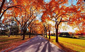 Image result for Wallpaper Late September