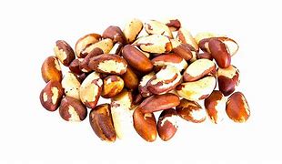 Image result for Brazil Nut Allergy Symptoms