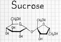 Image result for What Is Sucrose