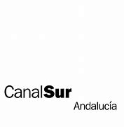 Image result for Canal Sur Television Logo Black