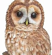 Image result for Owl Garden Ornaments Hollow