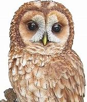 Image result for Owl Garden Ornaments Hollow