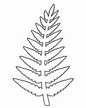 Image result for Lauae Fern Leaf Outline