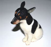 Image result for Miniature Rat Terrier