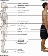 Image result for Model Posture