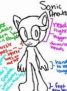 Image result for Sonic Anatomy