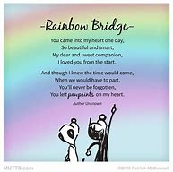 Image result for Rainbow Bridge Dead People