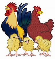 Image result for Clip Art Chickens and Cats