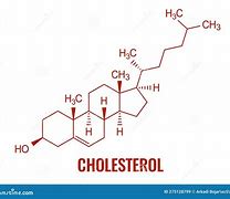 Image result for Cholesterol Molecule Diagram