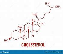 Image result for Cholesterol Molecule with Hydrogen