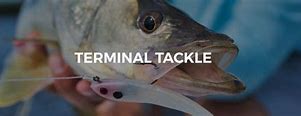 Image result for Sea Fishing Terminal Tackle