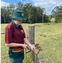 Image result for Aggie Farmer