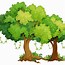 Image result for Anima Si Makanan Pokok