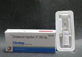 Image result for Clindamycin Inj