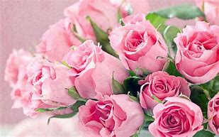 Image result for Fun Flowers Pink