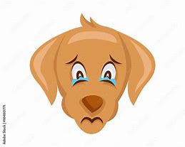 Image result for Sorry Dog Face