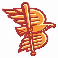 Image result for Boise Hawks Logo