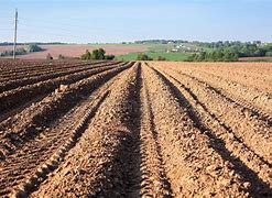 Image result for Cuba Arable Land