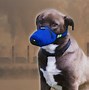 Image result for Dog RWD Mask