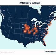 Image result for CDC Bird Flu Map Human