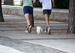 Image result for Jogging with Dog