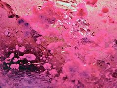 Image result for Candy Floss Pink Colour