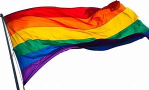 Image result for Pride Flag Png Icon