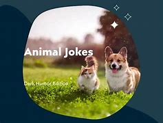 Image result for Dark Humor Dog Jokes