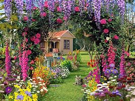 Image result for Flower Garden Screensavers Free